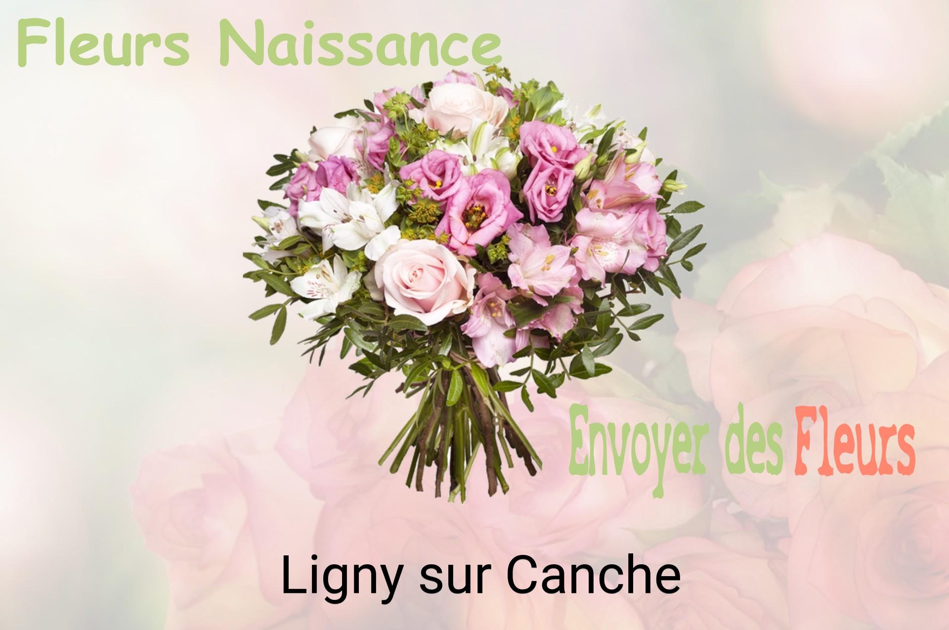 Bouquet de fleurs de naissance livré à Ligny-sur-Canche
