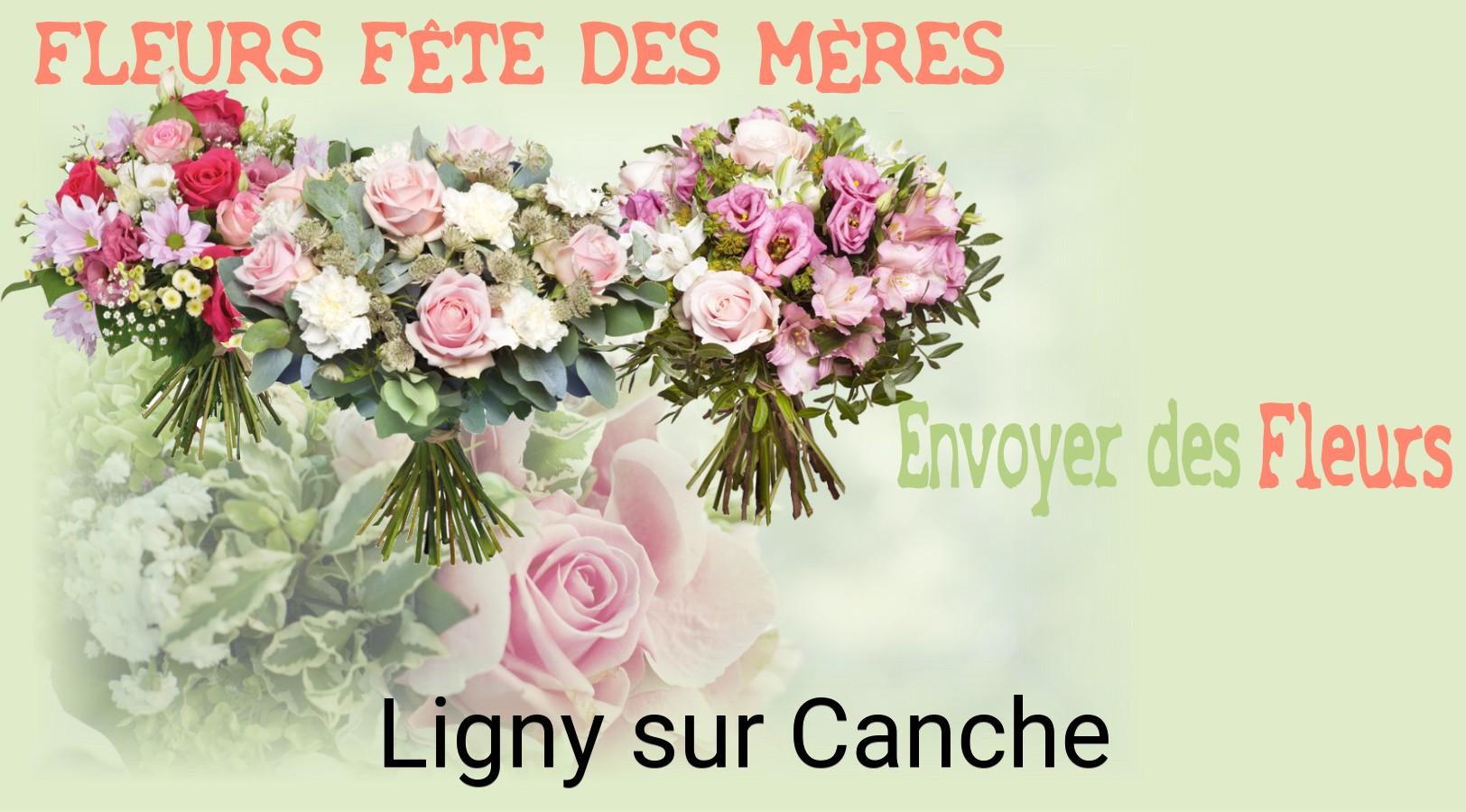 Bouquet de Fête des Mères livré à Ligny-sur-Canche